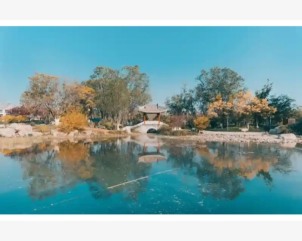 B2B供应链系统驱动企业高效协同运营